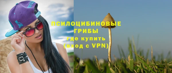 a pvp Кулебаки